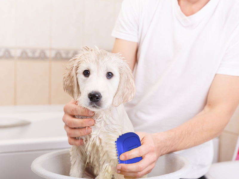 Dog Bath Scrubber Rubber Curry Comb & Pet Grooming Brush with Non-Slip Grip, Blue