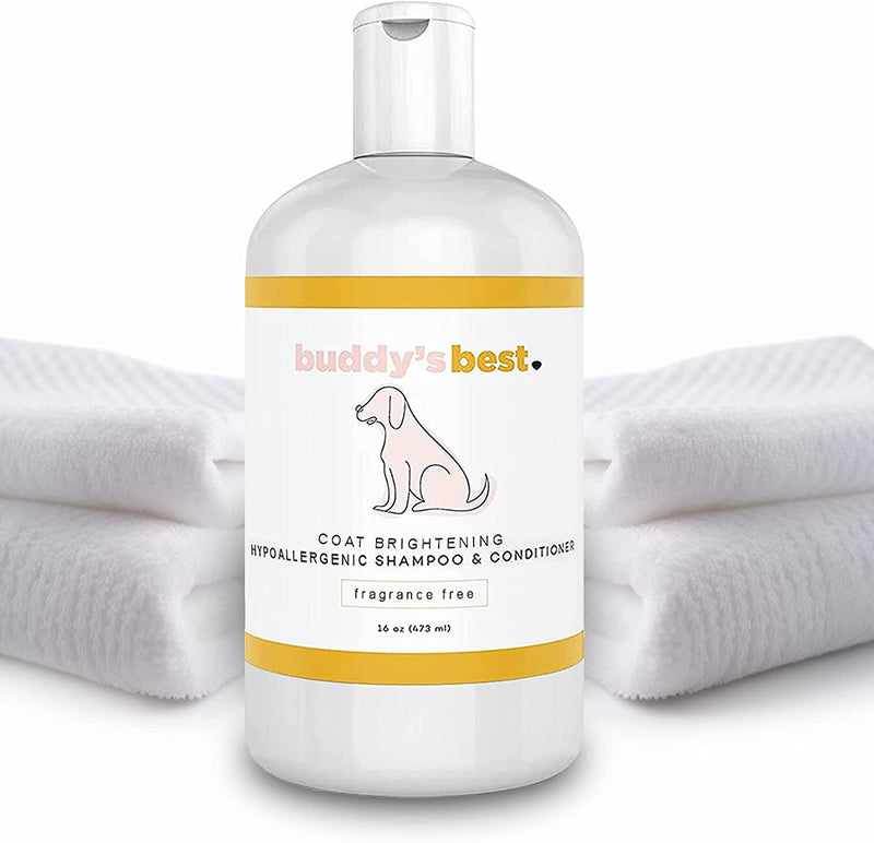 Dog Shampoo and Conditioner - Gentle Dog Shampoo & Conditioner with Oatmeal Ingredient for Dry and Sensitive Skin - Moisturizing Puppy Wash Shampoo, Fragrance-Free, 16Oz